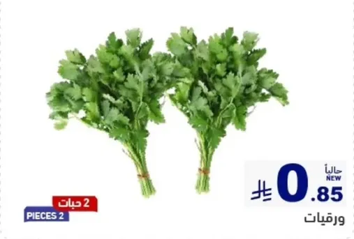 حزم كزبره طازجه.