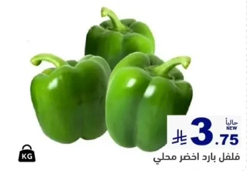 فلفل بارد اخضر محلي