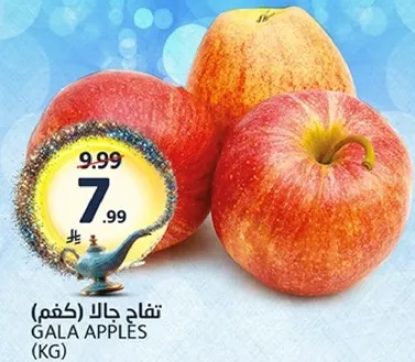 تفاح جالا (كغم)