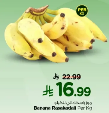 موز راسكادالي للكغ.