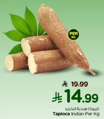 تابيوكا هنديه لكل كيلو
