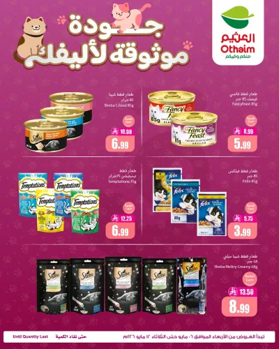 عروض طعام القطط