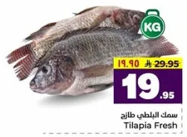 سمك البلطي طازج
