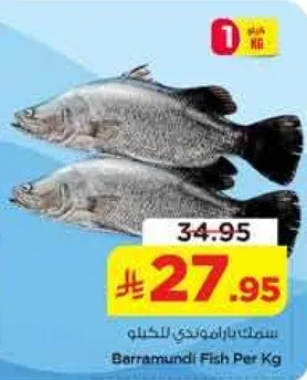 سمك باراموندي للكيلو