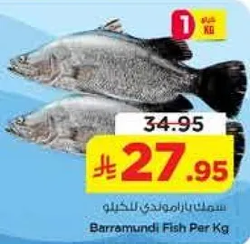 سلمون باراموندي بالكيلو