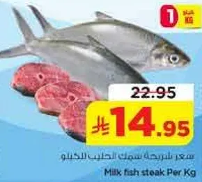 سعر طريشه سمك الحليب للكغ