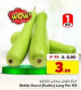 فرع طوله محلي للكيلو