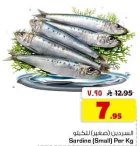 السردين (صغير) للكيلو