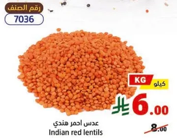 عدس احمر هندي