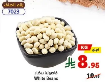 فاصوليا بيضاء