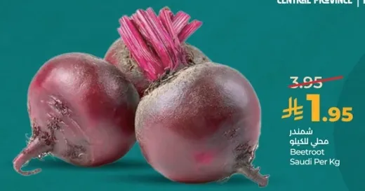 شمندر