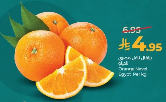 برتقال نافل مصري للكيلو