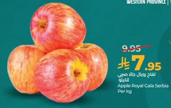 تفاح رويال جالا صربي الكيلو
