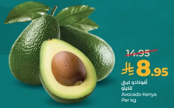 افوكادو كينيا الكيلو