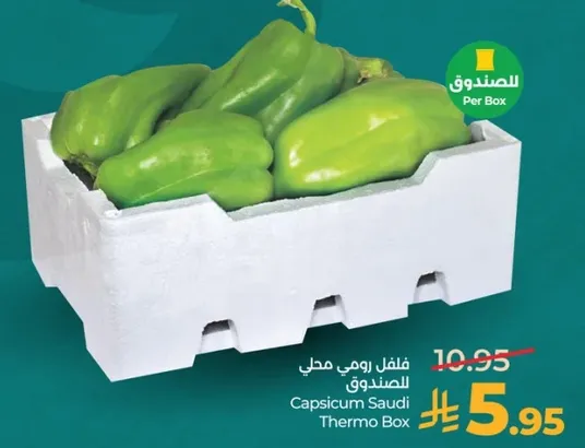 فلفل رومي محلي للصندوق