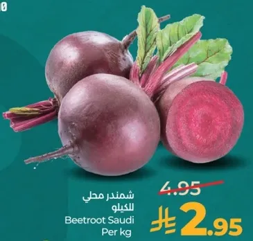 شمندر محلي للكيلو