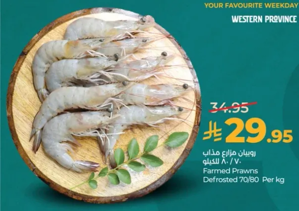 روبيان مزارع مذاب 70/80 للكilo