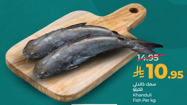 سمك قاندل للكيلو