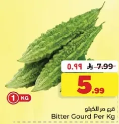 قرع مر كيلو