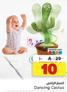 الصبار الراقص