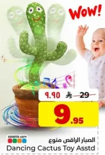 الصبار الراقص منوع