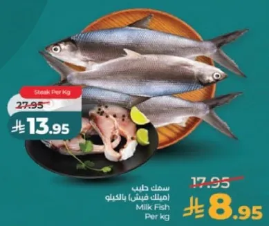 سمك حليب (ميلك فيش) بالكيلو