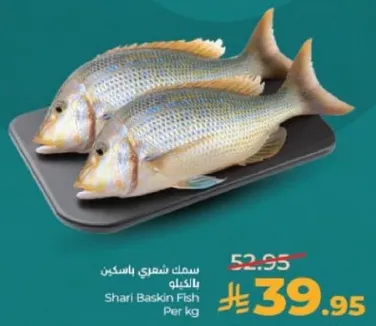 سمك شعري باسكن بالكيلو