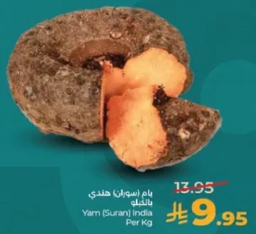 يام (سوران) هندي بالكيلو