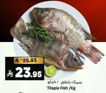 سمك بلطي /كيلو
