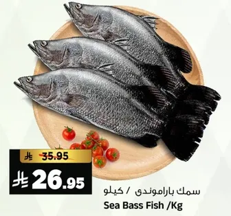 Sea Bass Fish/Kg