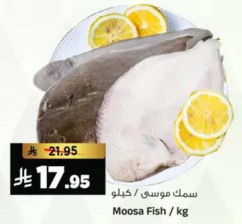 سمك موسي / كيلو