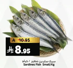 سمك ساردين صغير / كيلو