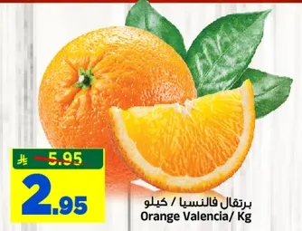 Valencia Oranges / Kg