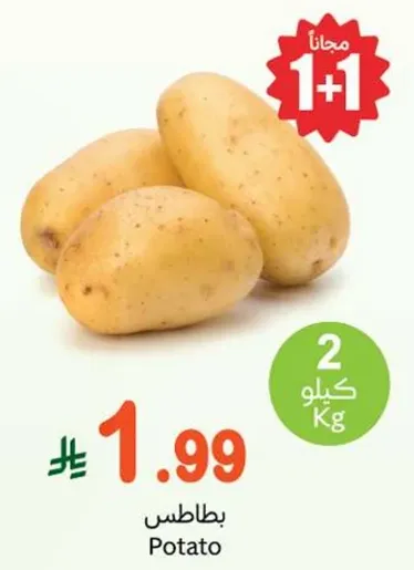 بطاطس