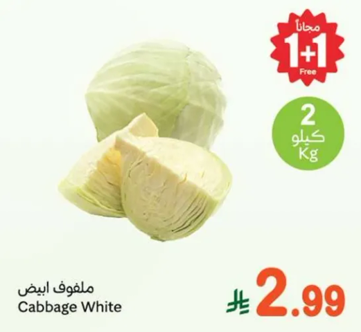 ملفوف ابيض