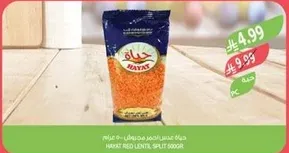 حياه عدس احمر مجروش - 500 جرام