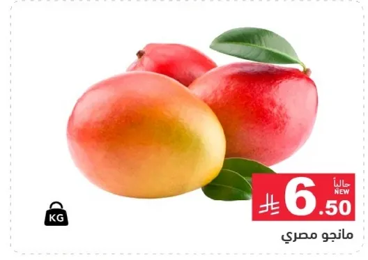 مانجو مصري.