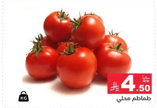 طماطم محلي