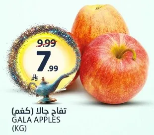 تفاح جالا (كغم)