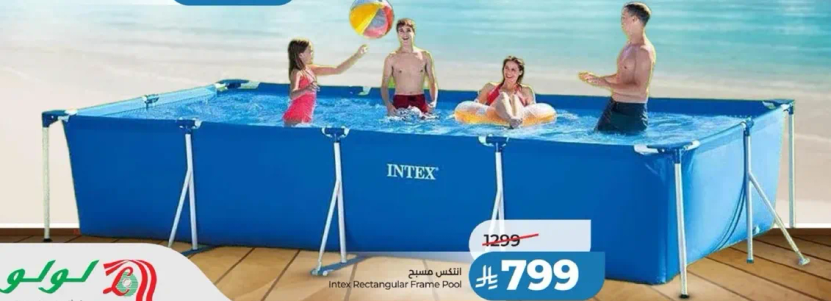 Intex Rectangular Frame Pool