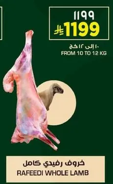 خروف رفيدي كامل