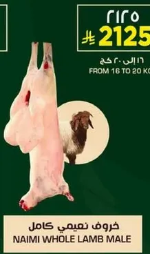 خروف نيمي كامل