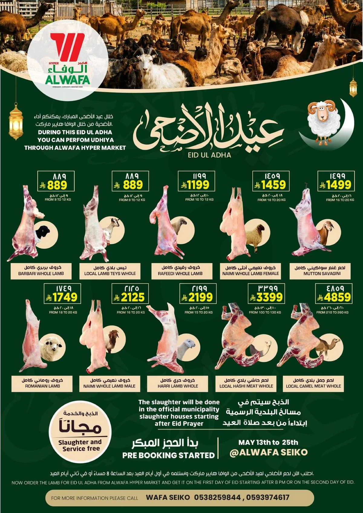 عروض الاضاحي