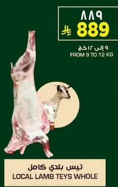 تيس بلدي كامل