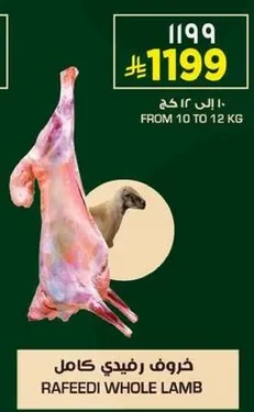 خروف رفيدي كامل