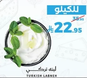 لبنه تركي