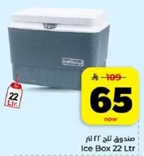 صندوق ثلج 22 لتر