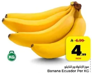 موز الاكوادور بالكيلو