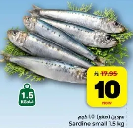 سردين (صغير) 1.5 كجم