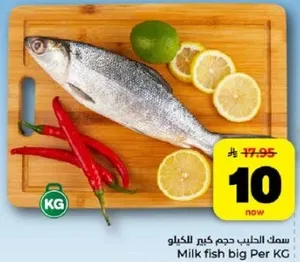 Milk fish big Per KG